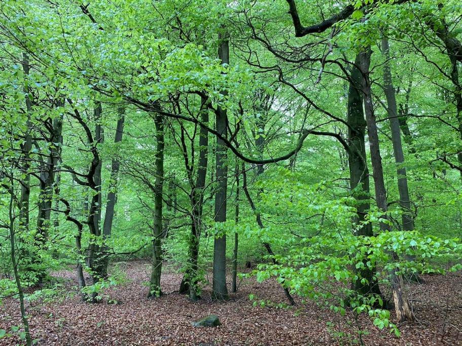 Traumhafte Ferienwohnung Im Landhausstil Hanshagen  Экстерьер фото